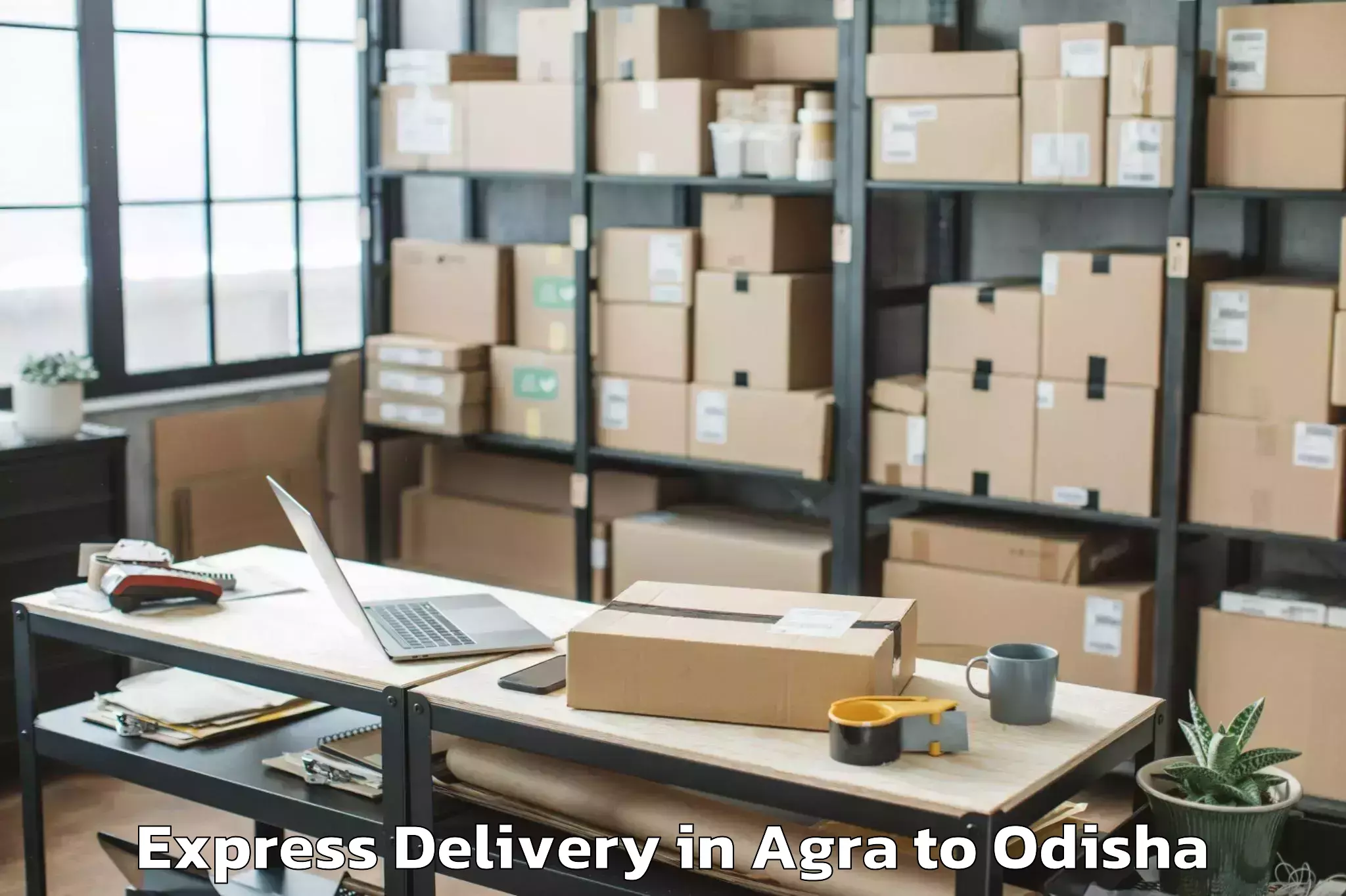 Affordable Agra to Burla Express Delivery